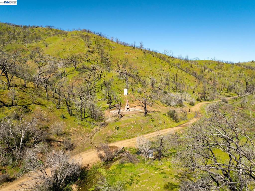 15676 W Corral Hollow Rd Property Photo 7