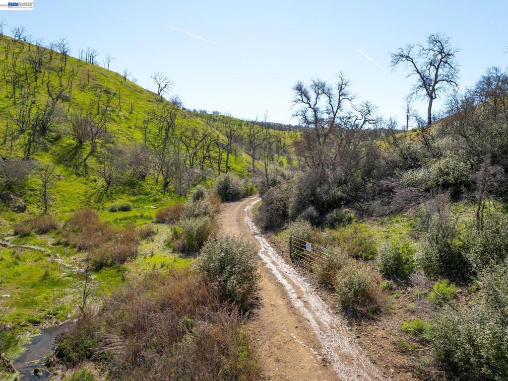 15676 W Corral Hollow Rd Property Photo 9