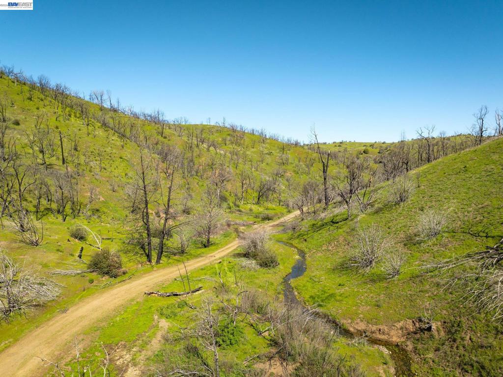15676 W Corral Hollow Rd Property Photo 11