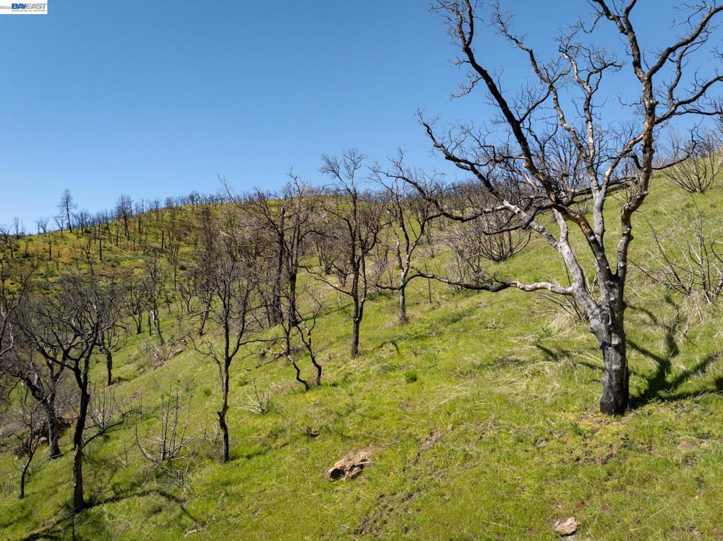 15676 W Corral Hollow Rd Property Photo 12