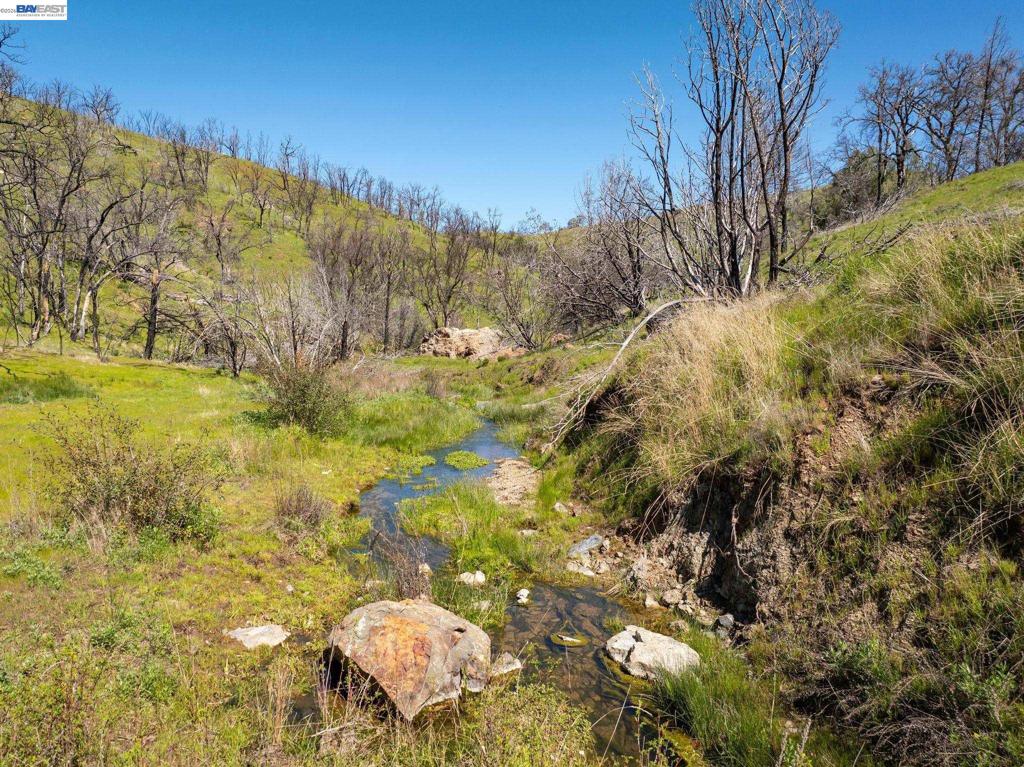 15676 W Corral Hollow Rd Property Photo 13