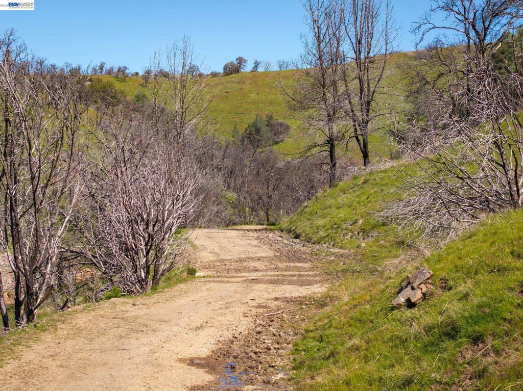 15676 W Corral Hollow Rd Property Photo 14