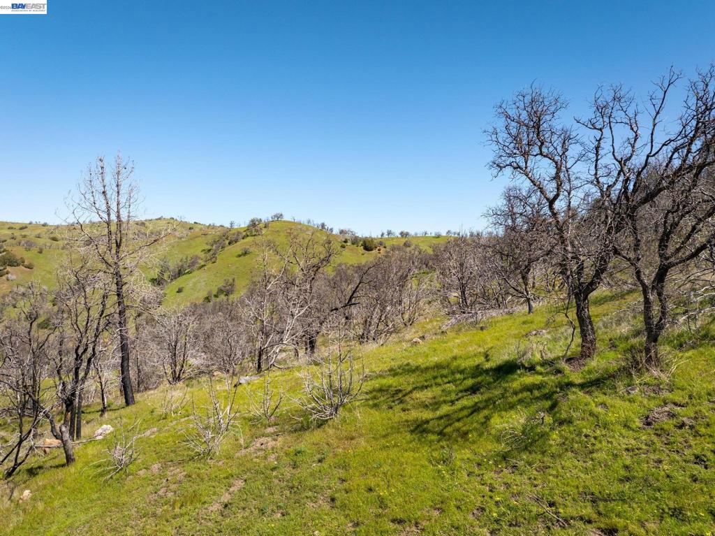 15676 W Corral Hollow Rd Property Photo 15