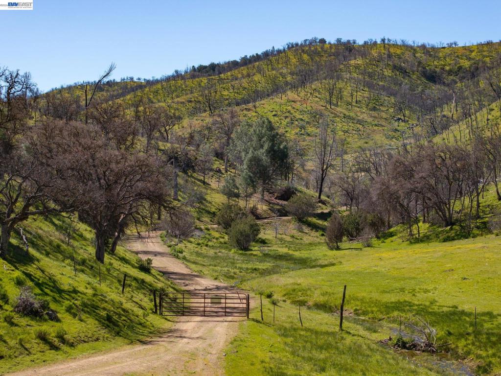 15676 W Corral Hollow Rd Property Photo 17