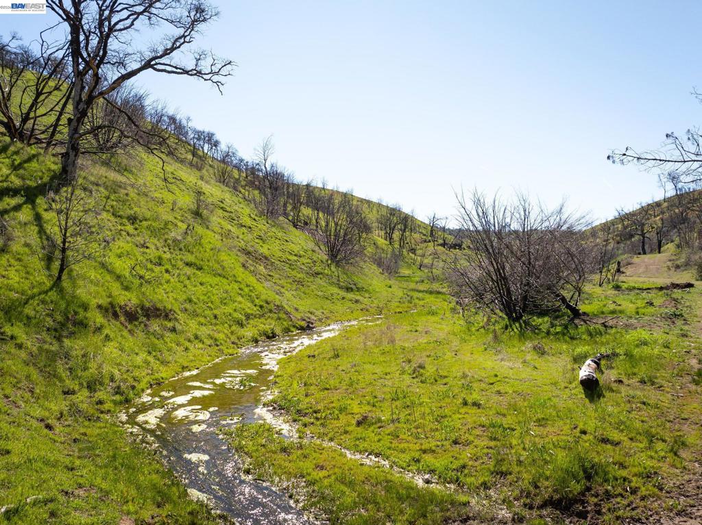 15676 W Corral Hollow Rd Property Photo 19