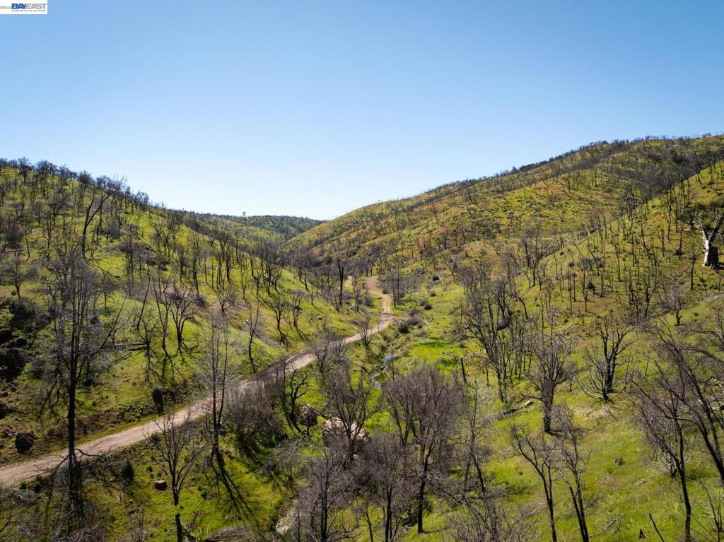15676 W Corral Hollow Rd Property Photo 20