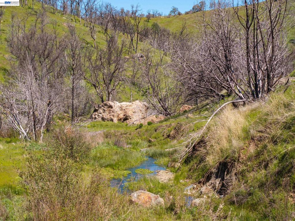 15676 W Corral Hollow Rd Property Photo 21