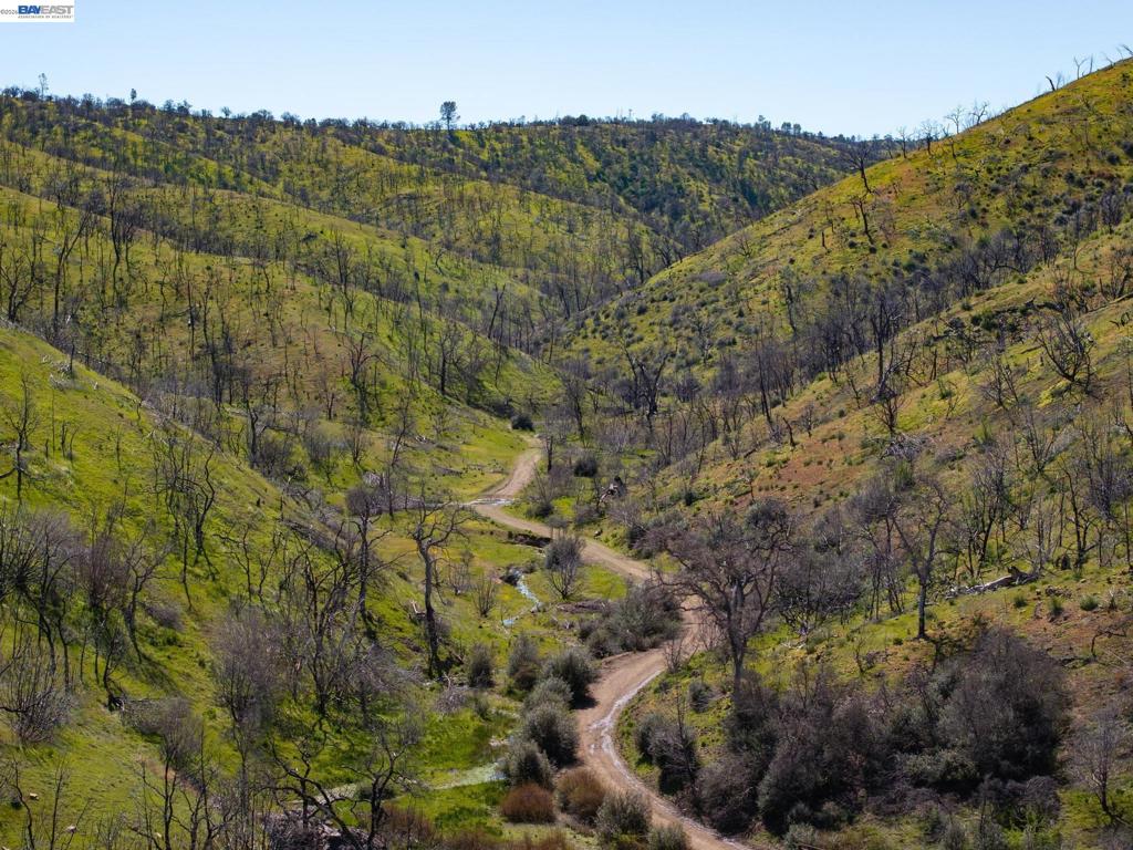 15676 W Corral Hollow Rd Property Photo 22