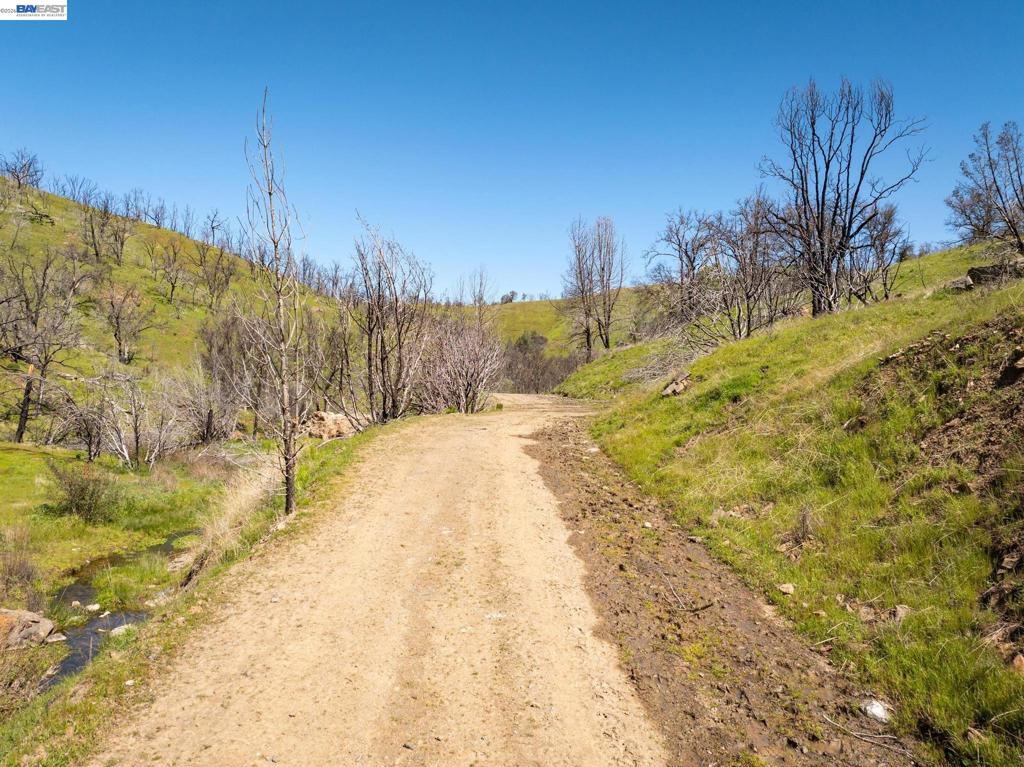 15676 W Corral Hollow Rd Property Photo 23