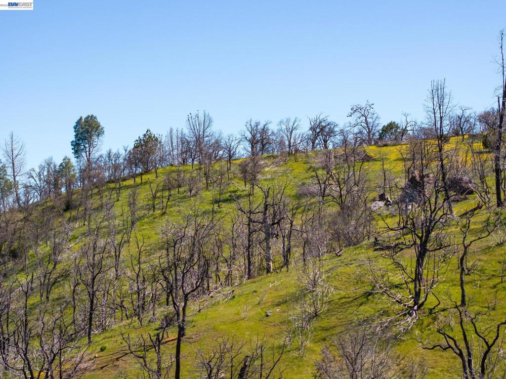 15676 W Corral Hollow Rd Property Photo 24