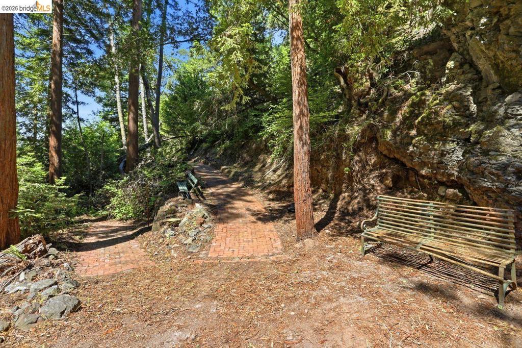 41141005 Property Photo 28