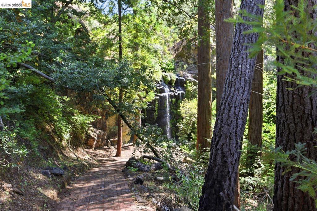 41141005 Property Photo 29