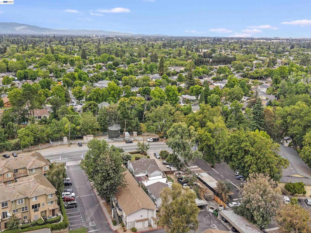 1966 Almaden Rd Property Photo 29