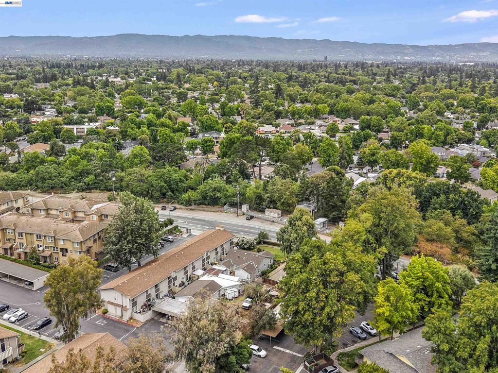 1966 Almaden Rd Property Photo 31