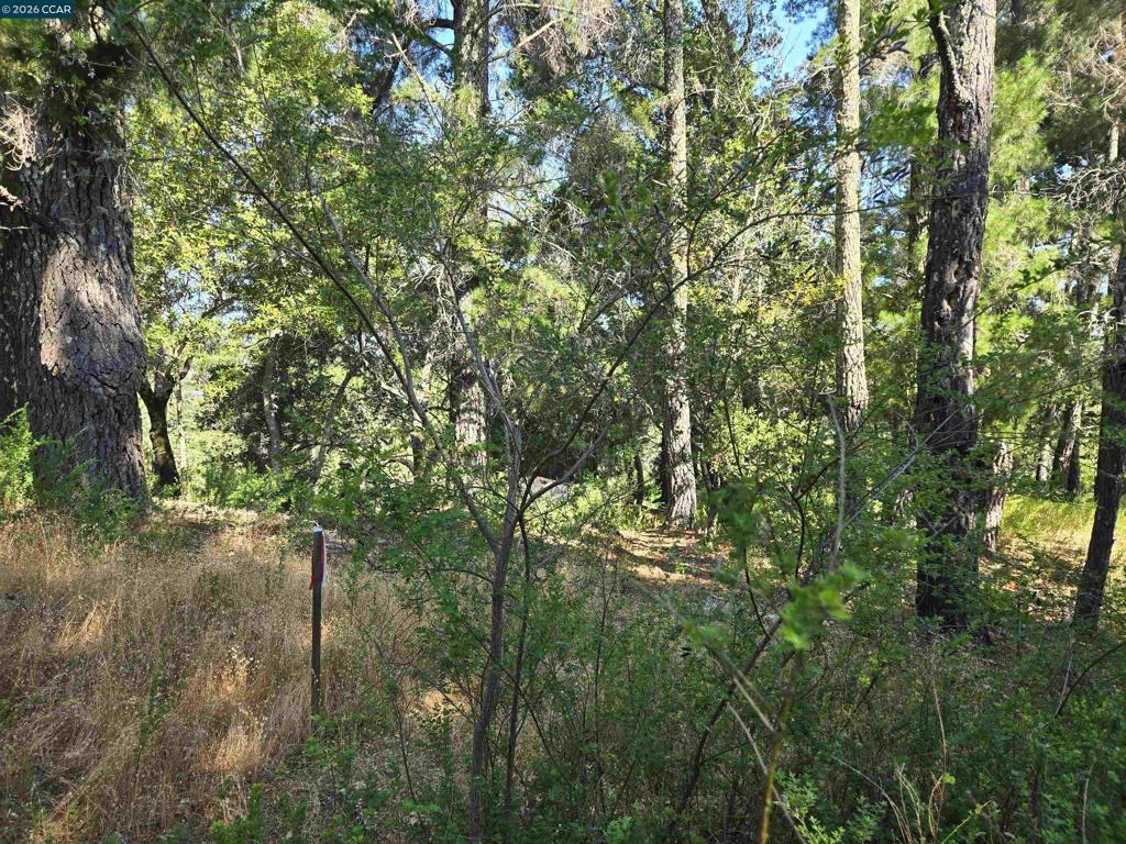 100 Black Log Rd Property Photo 9