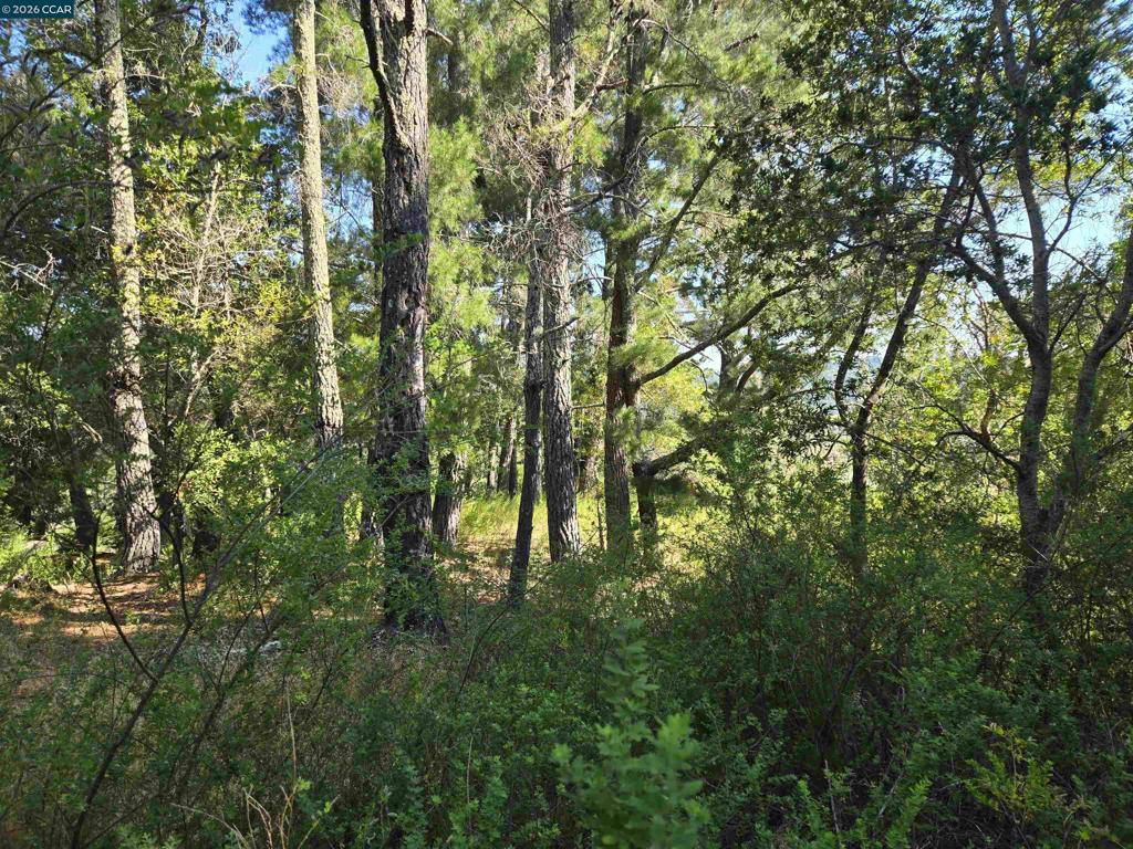 100 Black Log Rd Property Photo 10