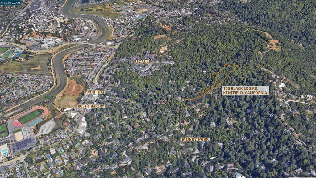 100 Black Log Rd Property Photo 15