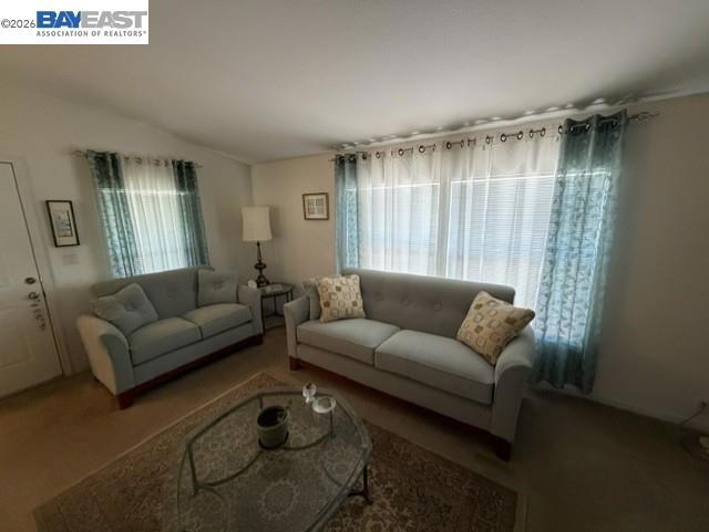 29231 Whalebone Way Property Photo 2