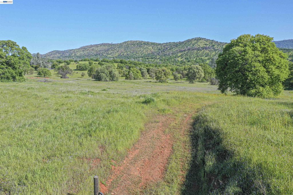 2844 Canoe Property Photo 5