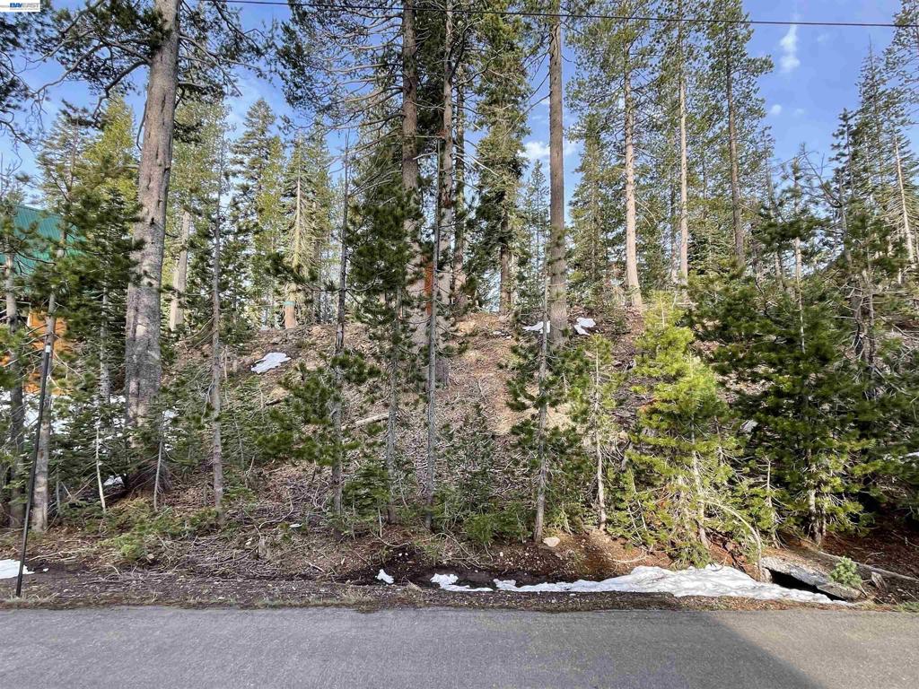 7217 Palisade Road Property Photo 1
