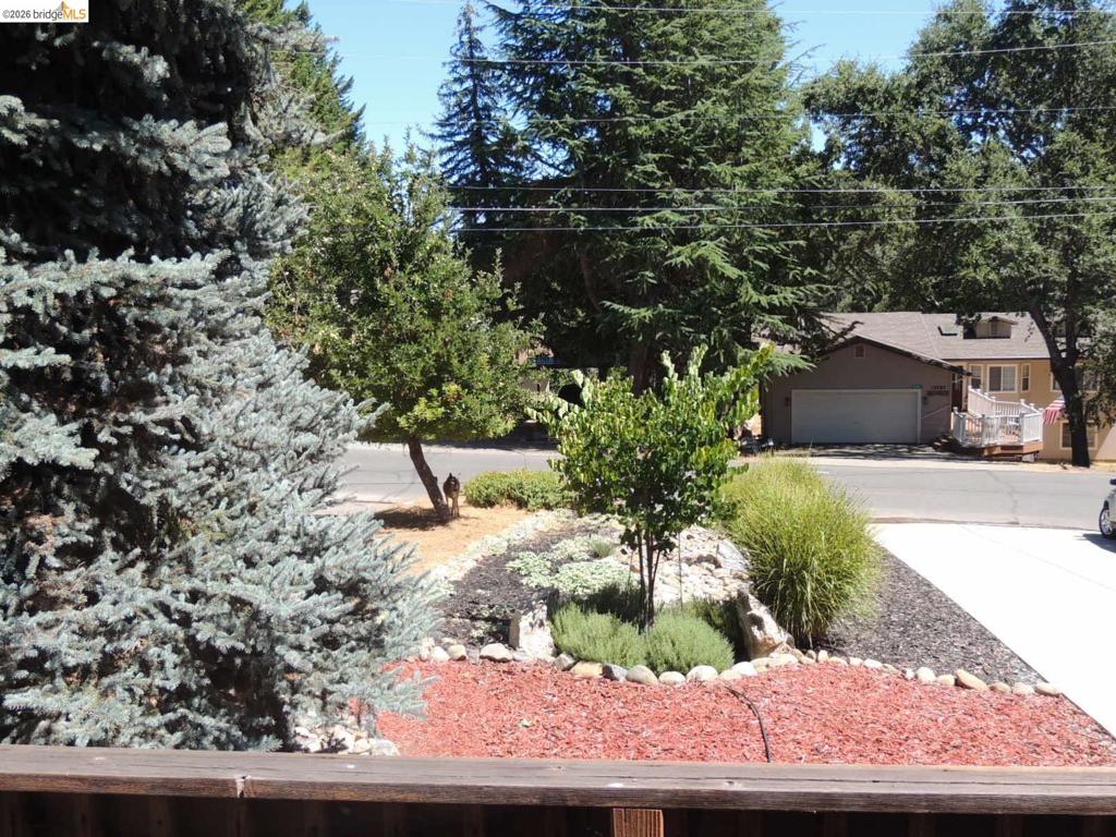 12728 Mount Jefferson St. Property Photo 66