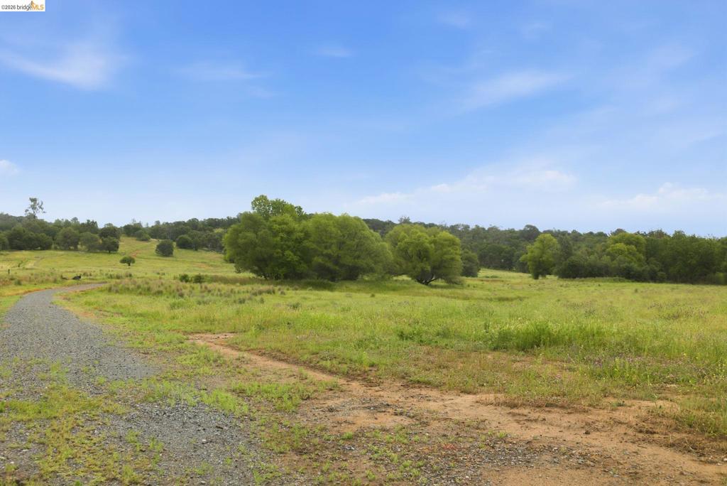 41141505 Property Photo 10