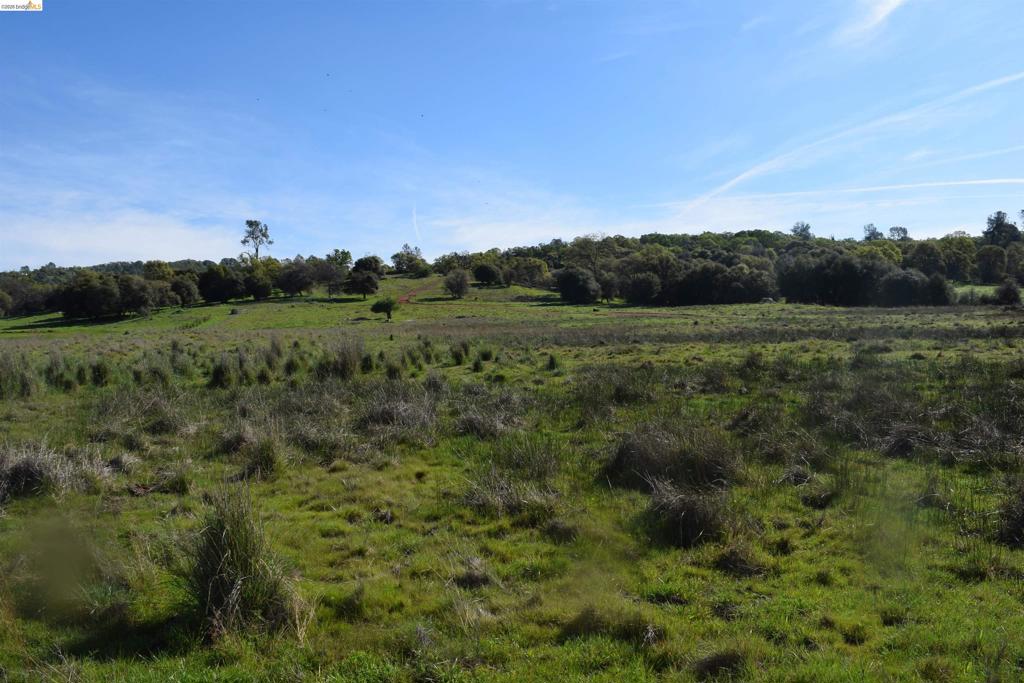 41141505 Property Photo 16