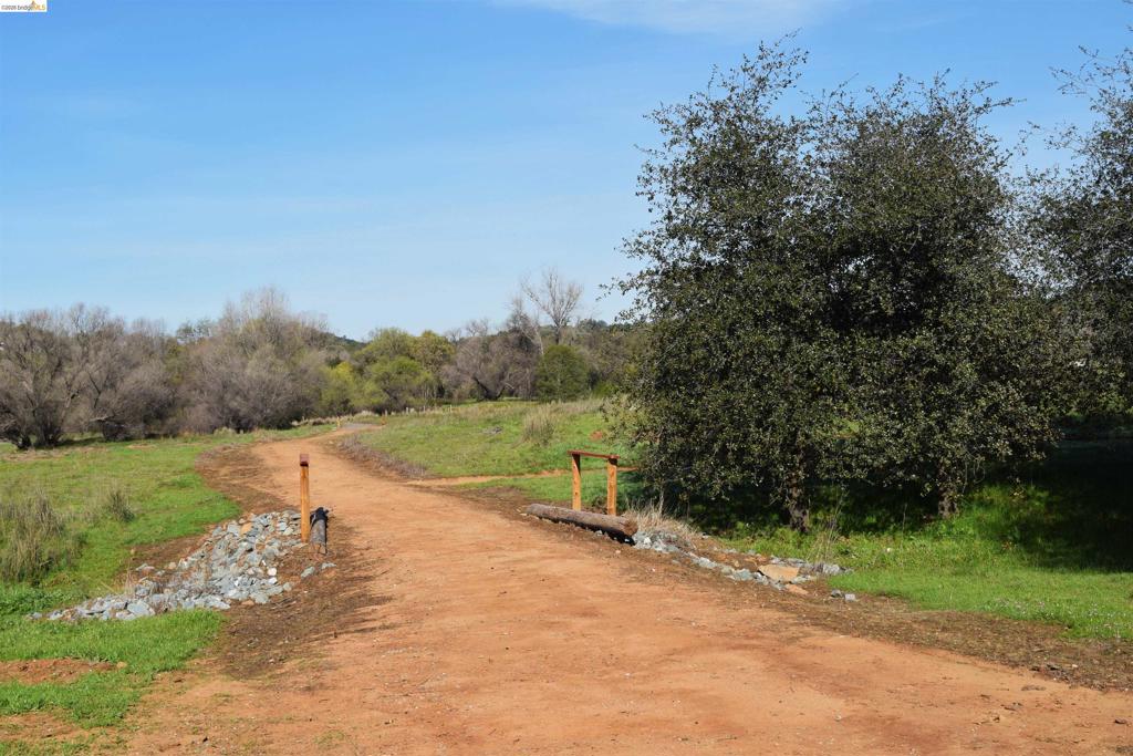 41141505 Property Photo 17