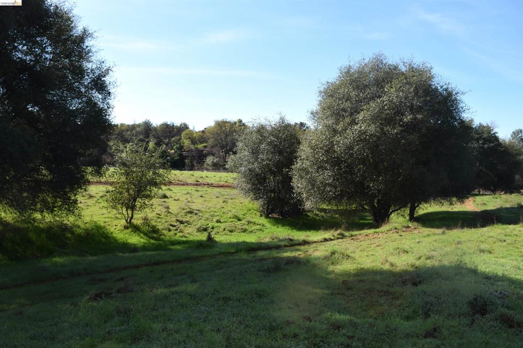 41141505 Property Photo 20