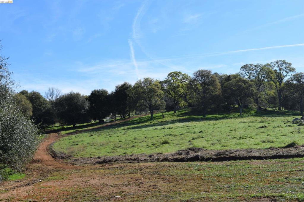 41141505 Property Photo 23