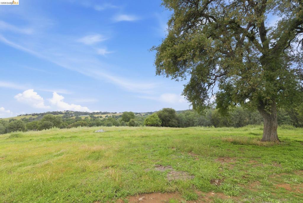 41141505 Property Photo 28