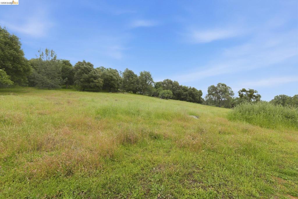 41141505 Property Photo 30