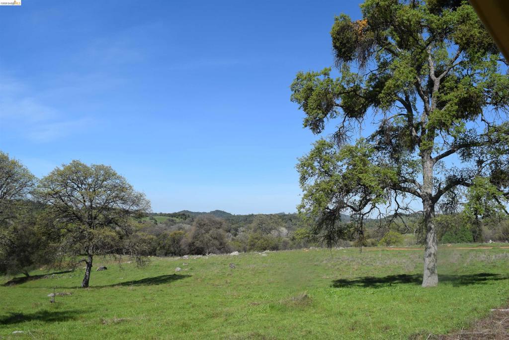 41141505 Property Photo 33