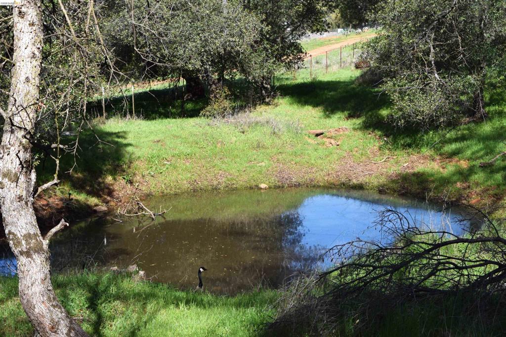 41141505 Property Photo 34