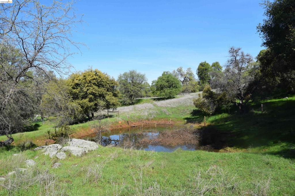 41141505 Property Photo 38