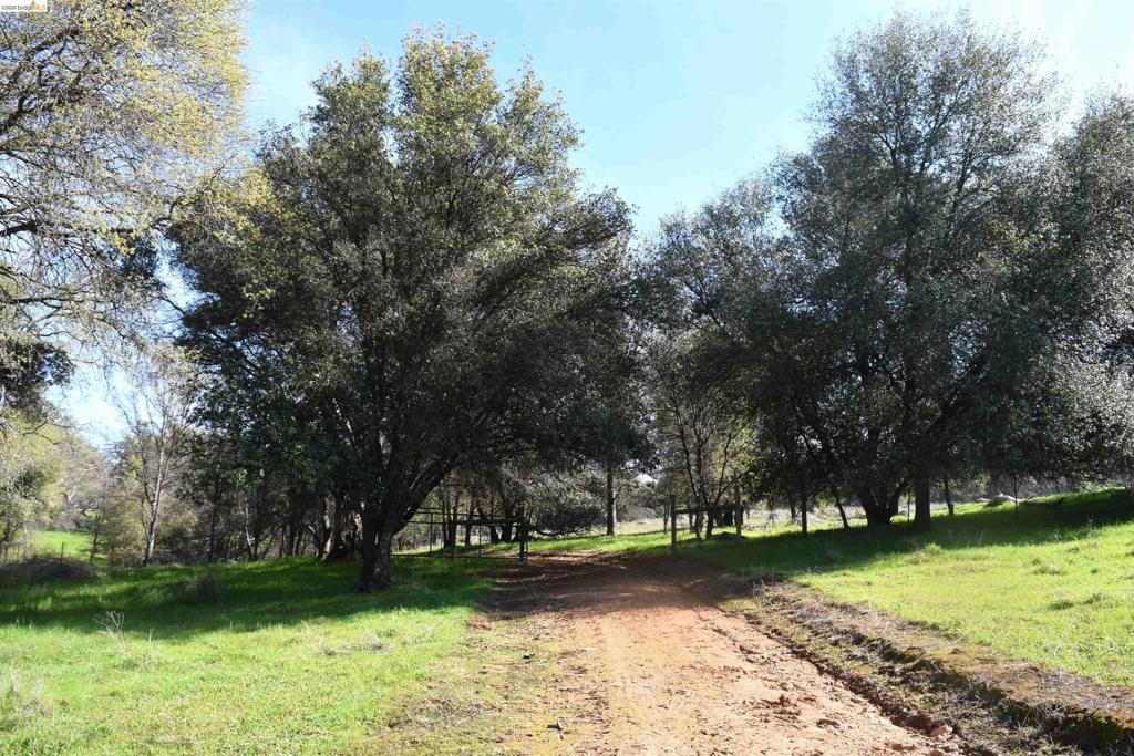 41141505 Property Photo 40