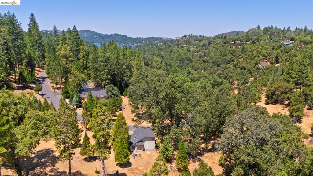 20785 Buttercup Cir Property Photo 41