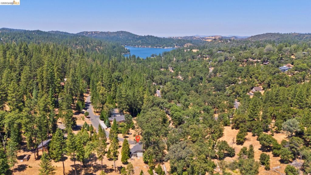 20785 Buttercup Cir Property Photo 42