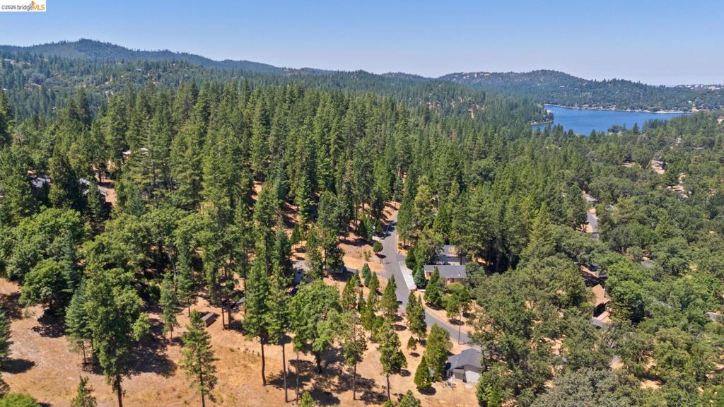 20785 Buttercup Cir Property Photo 43