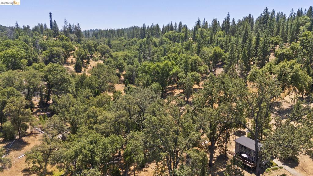 20785 Buttercup Cir Property Photo 44