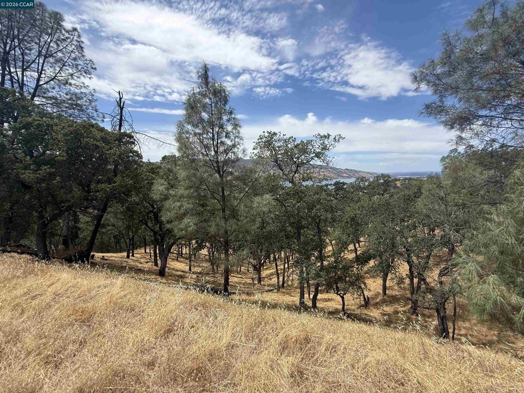 1123 Steele Canyon Rd. Property Photo 2