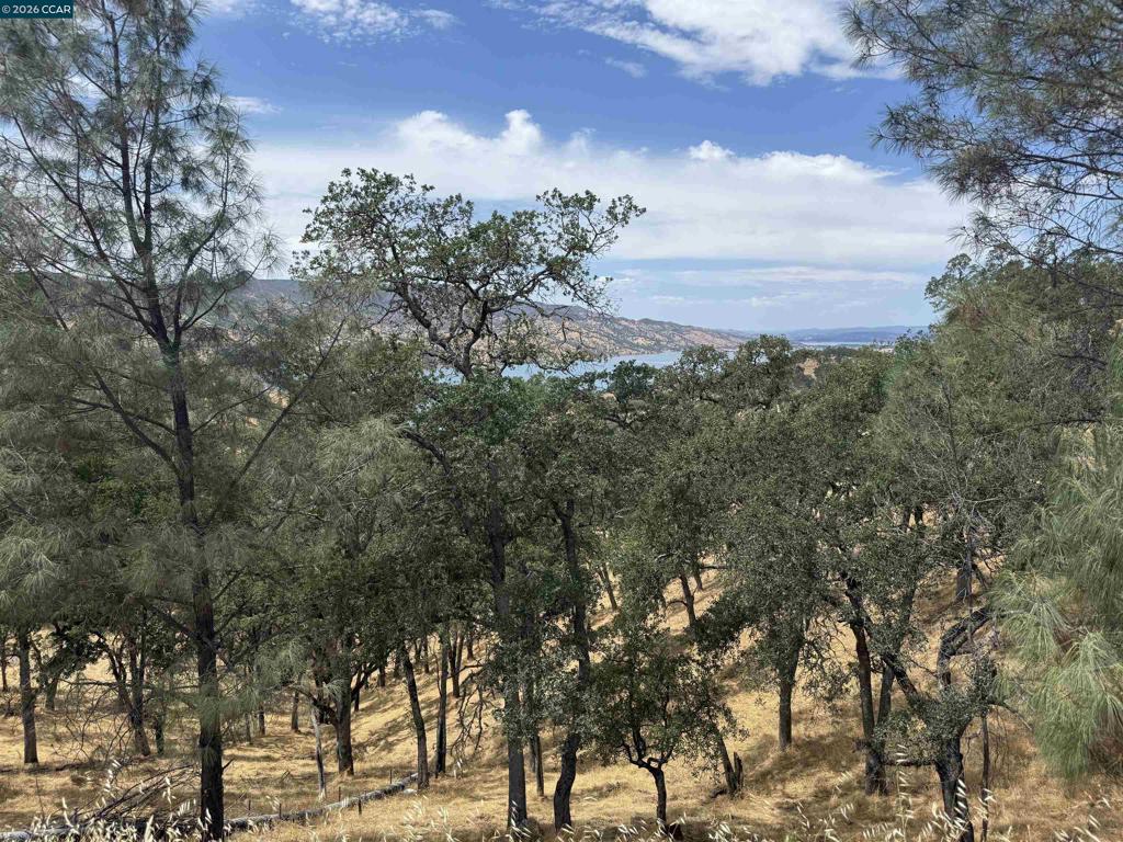 1123 Steele Canyon Rd. Property Photo 3