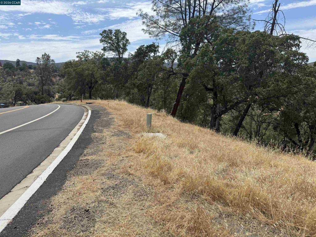 1123 Steele Canyon Rd. Property Photo 4