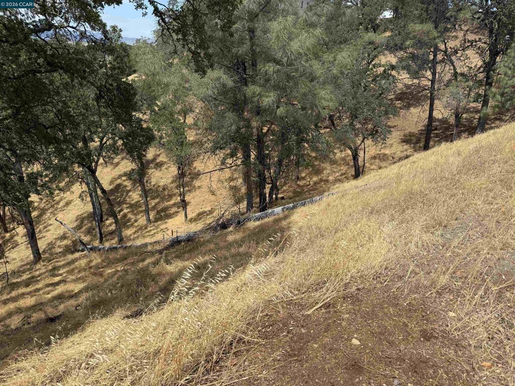 1123 Steele Canyon Rd. Property Photo 7