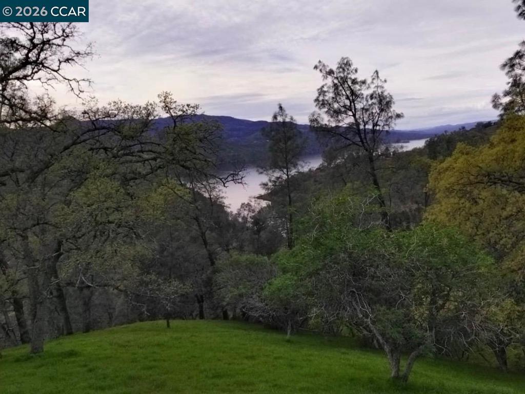 1123 Steele Canyon Rd. Property Photo 9