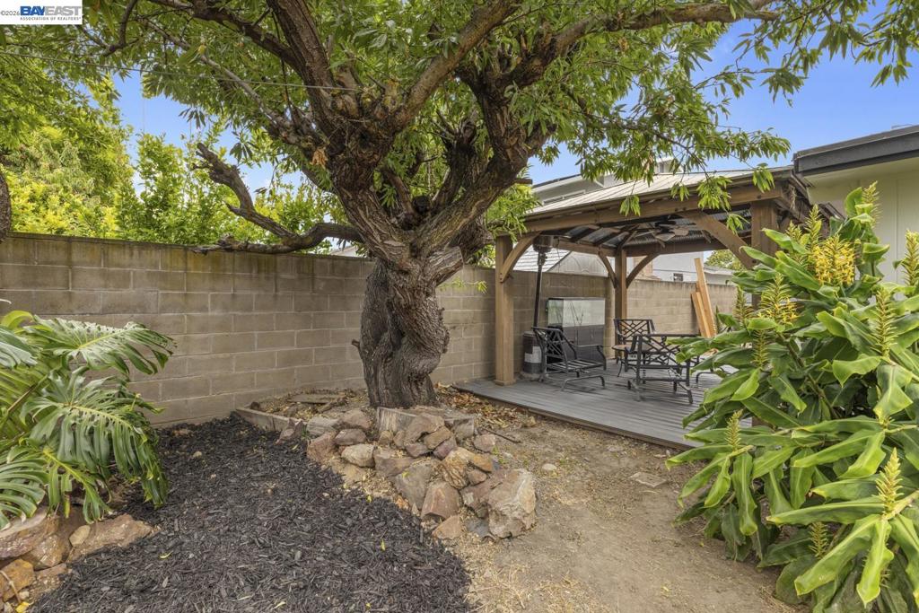 4624 Delores Dr. Property Photo 37