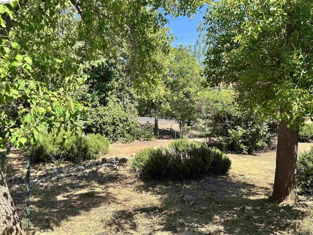 20511 Nob Hill Cir Property Photo 31