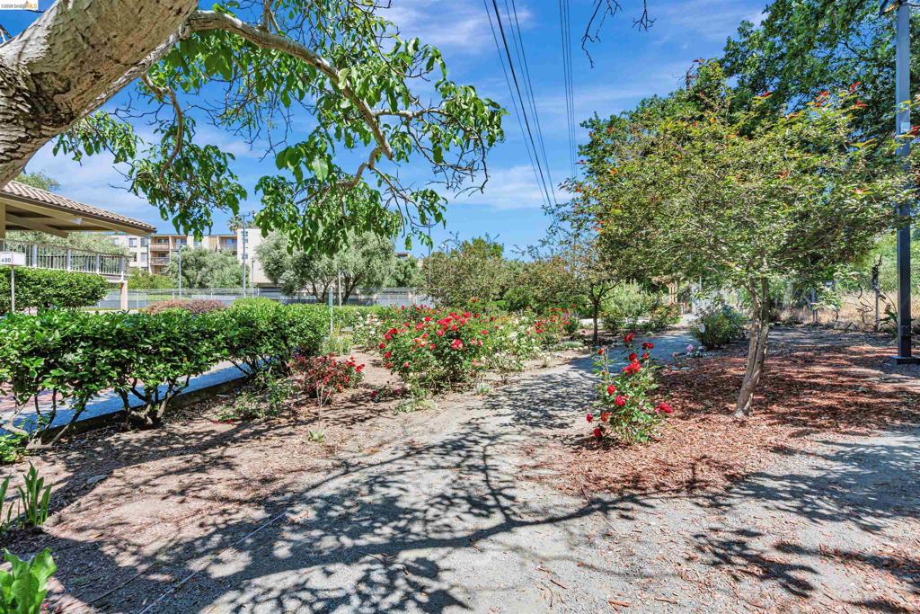 490 N Civic Dr 101 Property Photo 22