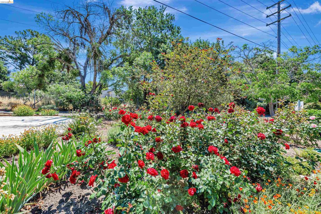 490 N Civic Dr 101 Property Photo 23