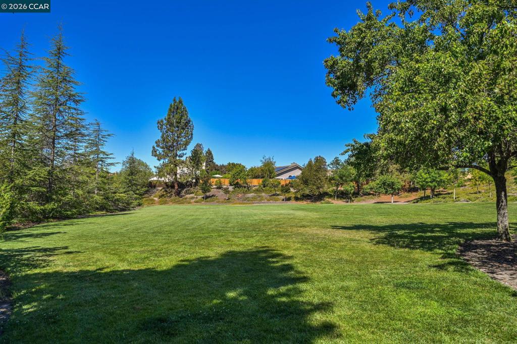 421 Stoneybrook Ct Property Photo 42